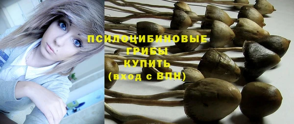 гидра Баксан